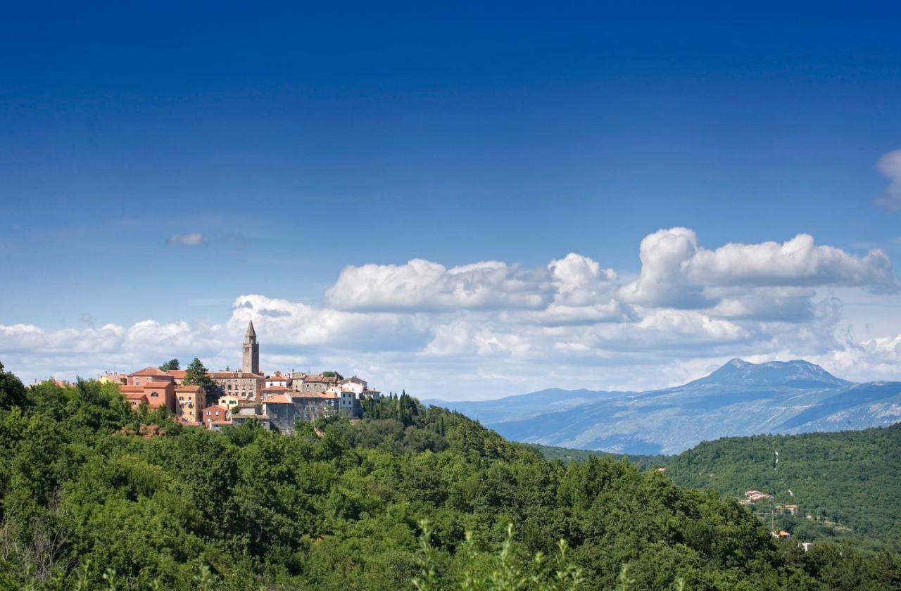 Вілла Roinizza In Prtlog Лабин Екстер'єр фото